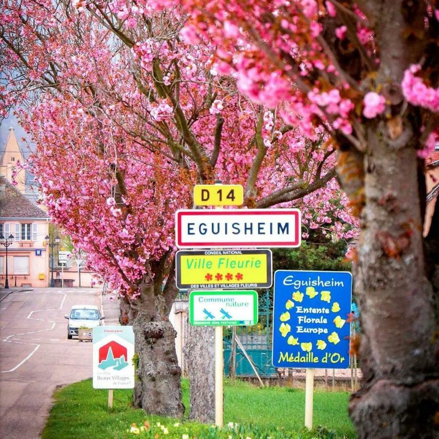 Gite Edelweiss A Eguisheim Zewnętrze zdjęcie